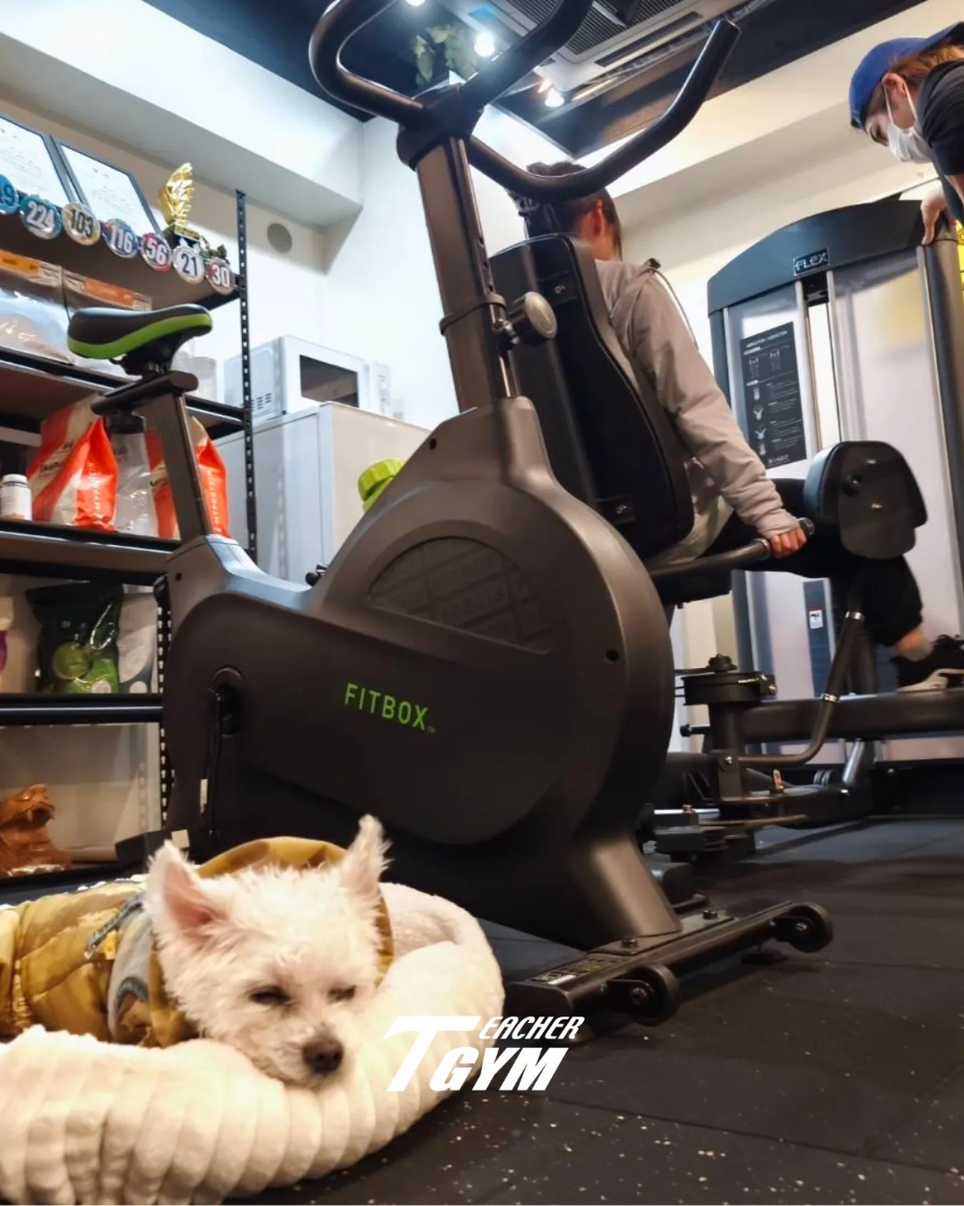 みなさんこんばんは！