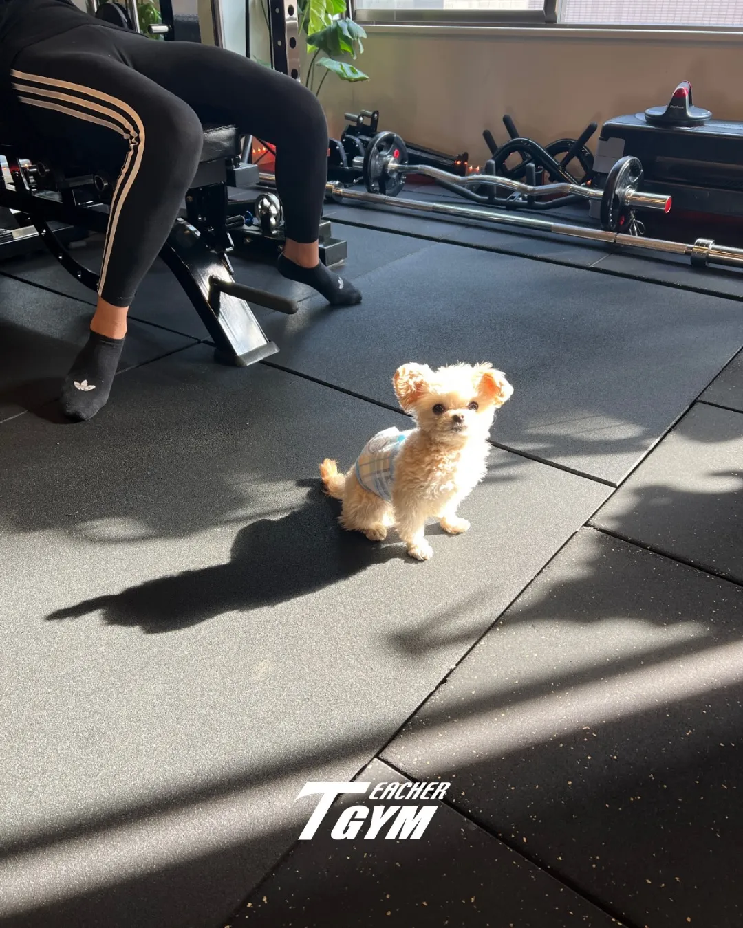 TEACHER GYM銀座・八丁堀です！